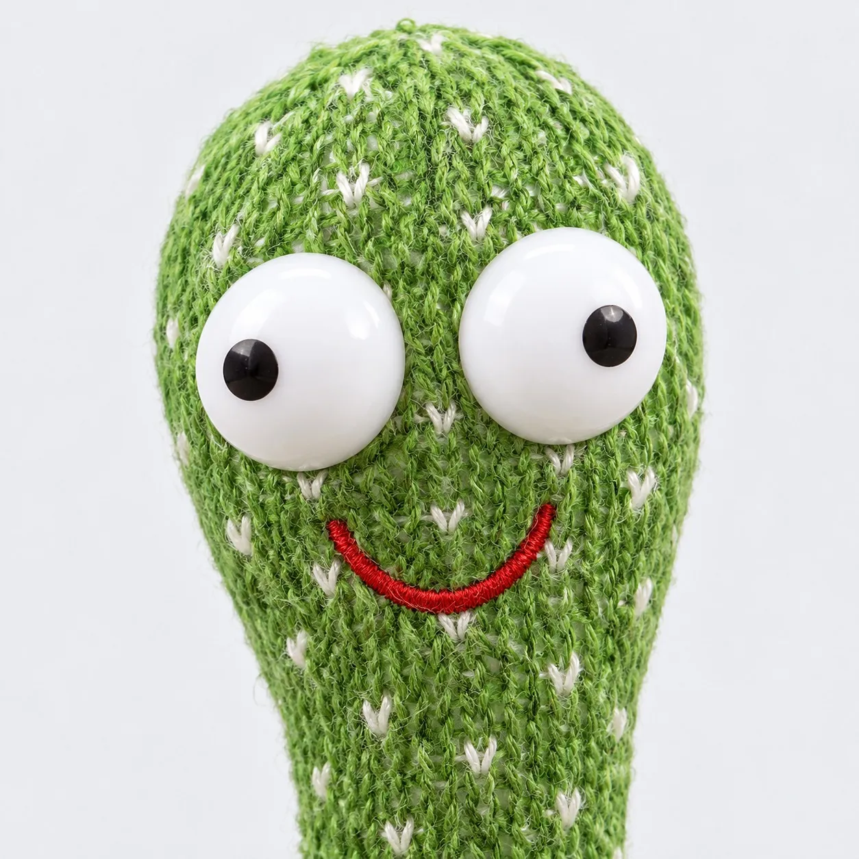 Close-up of the talking cactus toy’s face